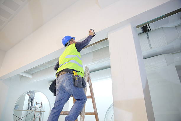 Best Industrial Mold Remediation  in Bolivar Peninsula, TX